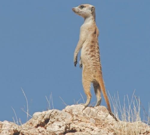 Isaura-_-Fotos-blog-4-oty8lpf9skeqmxnb83y2vvegpksjudp2wvmjymcv4k